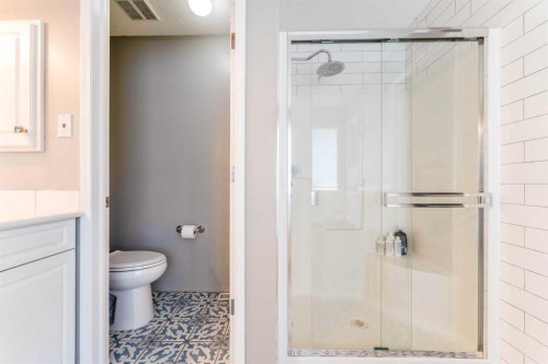 99 Springbluff Boulevard Sw, Calgary, AB - Indoor Photo Showing Bathroom