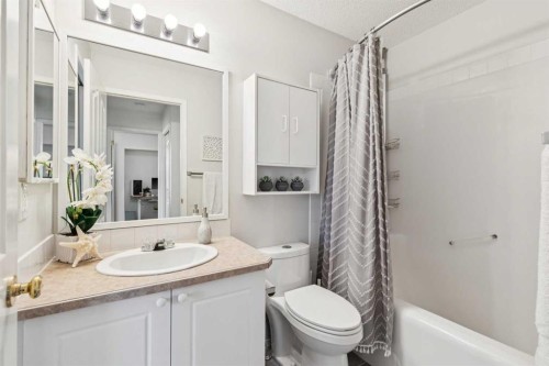 336 Mt Aberdeen Close Se, Calgary, AB - Indoor Photo Showing Bathroom