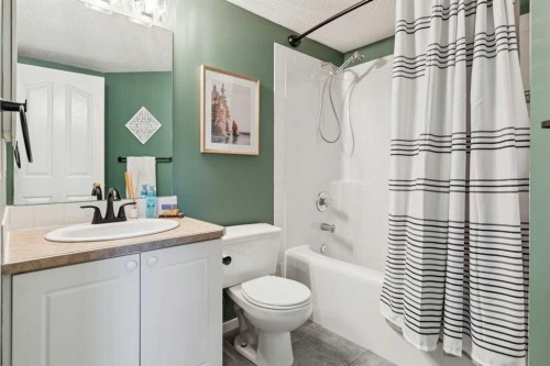 336 Mt Aberdeen Close Se, Calgary, AB - Indoor Photo Showing Bathroom