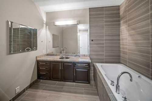 619-950 Centre Avenue Ne, Calgary, AB - Indoor Photo Showing Bathroom