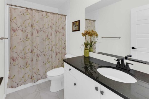 29 Sage Meadows Park Nw, Calgary, AB - Indoor Photo Showing Bathroom