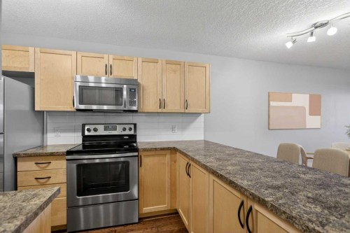 2-125 23 Avenue Sw, Calgary, AB - Indoor Photo Showing Kitchen