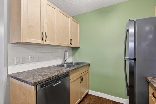 2-125 23 Avenue Sw, Calgary, AB - Indoor Photo Showing Kitchen With Double Sink