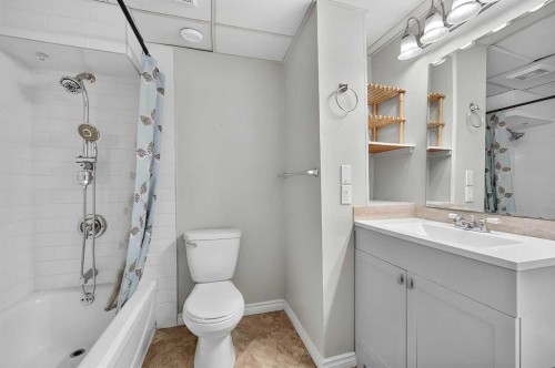 14 Rosetree Crescent Nw, Calgary, AB - Indoor Photo Showing Bathroom