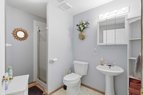 5618 63 Avenue, Olds, AB - Indoor Photo Showing Bathroom