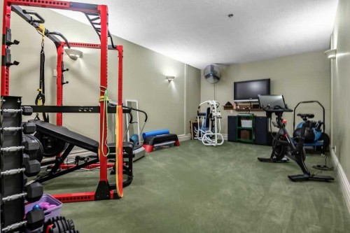 117 West Terrace Point, Cochrane, AB - Indoor Photo Showing Gym Room