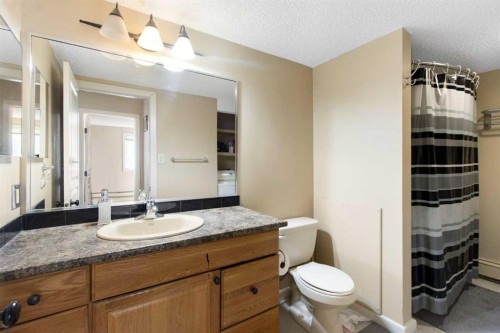 522-6400 Coach Hill Road Sw, Calgary, AB - Indoor Photo Showing Bathroom