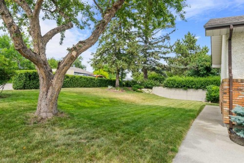 40 Thornlee Crescent Nw, Calgary, AB - Outdoor