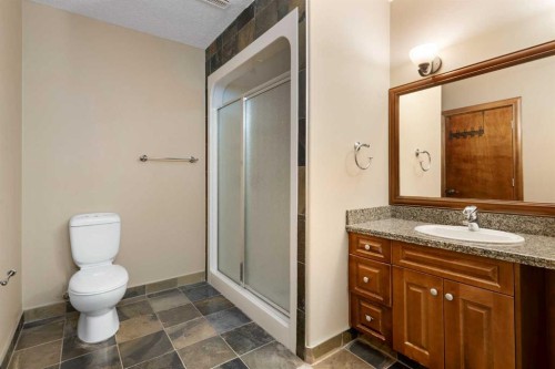 8 Coulee Park Sw, Calgary, AB - Indoor Photo Showing Bathroom