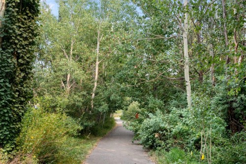 8 Coulee Park Sw, Calgary, AB - Outdoor