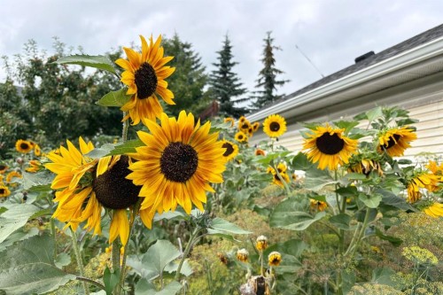 246 Mt Lorette Place Se, Calgary, AB - Outdoor
