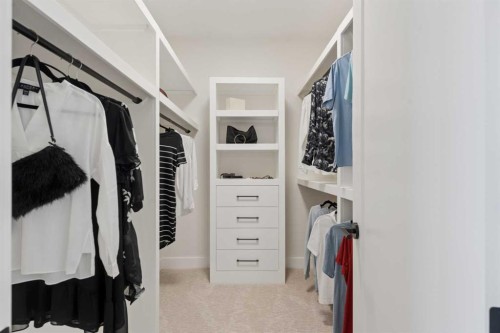 507 Waterford Rise, Chestermere, AB - Indoor With Storage