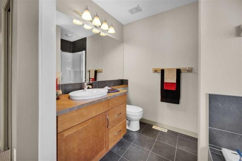 146 Springborough Point Sw, Calgary, AB - Indoor Photo Showing Bathroom