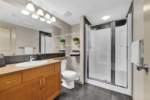 146 Springborough Point Sw, Calgary, AB - Indoor Photo Showing Bathroom