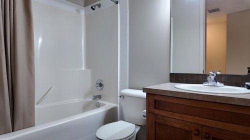 1103-105 Railway Avenue Sw, Airdrie, AB - Indoor Photo Showing Bathroom