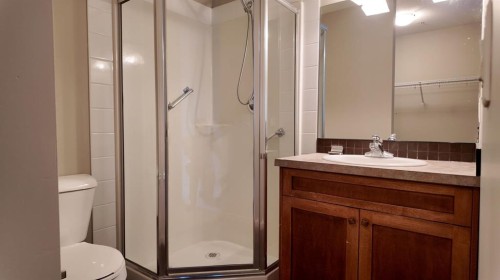 1103-105 Railway Avenue Sw, Airdrie, AB - Indoor Photo Showing Bathroom
