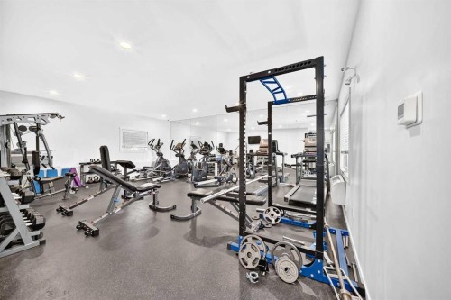 1406-181 Skyview Ranch Manor Ne, Calgary, AB - Indoor Photo Showing Gym Room