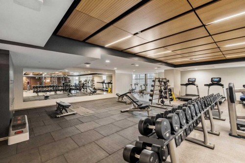 709-1122 3 Street Se, Calgary, AB - Indoor Photo Showing Gym Room