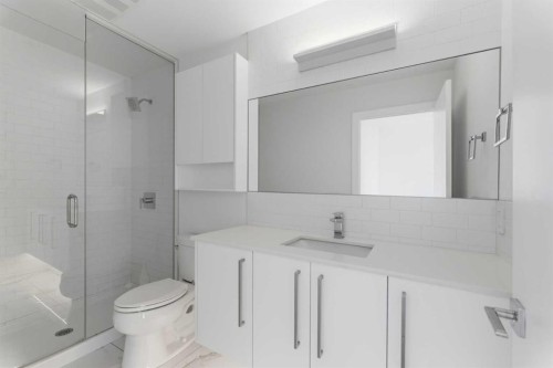 408-3130 Thirsk Street Nw, Calgary, AB - Indoor Photo Showing Bathroom