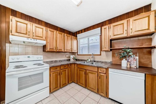 7807 20A Street Se, Calgary, AB - Indoor Photo Showing Kitchen With Double Sink