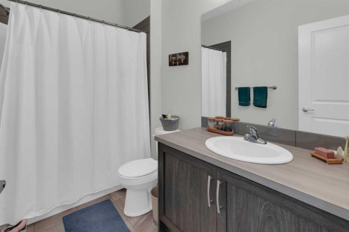 205-250 Fireside View, Cochrane, AB - Indoor Photo Showing Bathroom