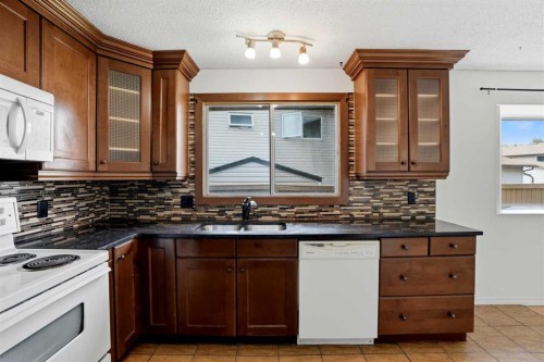 172 Templemont Drive Ne, Calgary, AB - Indoor Photo Showing Kitchen With Double Sink