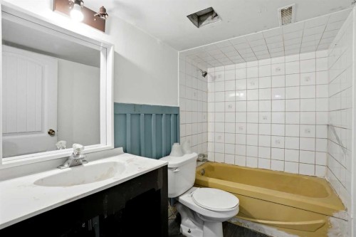 172 Templemont Drive Ne, Calgary, AB - Indoor Photo Showing Bathroom