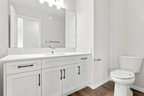 4041 Southwinds Way Sw, Airdrie, AB - Indoor Photo Showing Bathroom