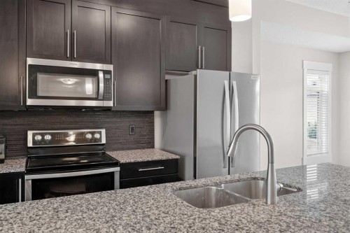 604 Skyview Point Place Ne, Calgary, AB - Indoor Photo Showing Kitchen With Double Sink With Upgraded Kitchen