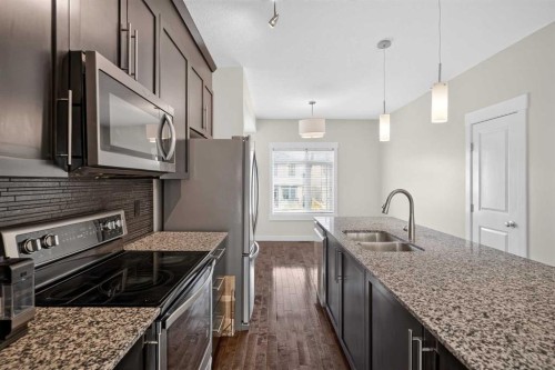 604 Skyview Point Place Ne, Calgary, AB - Indoor Photo Showing Kitchen With Double Sink With Upgraded Kitchen