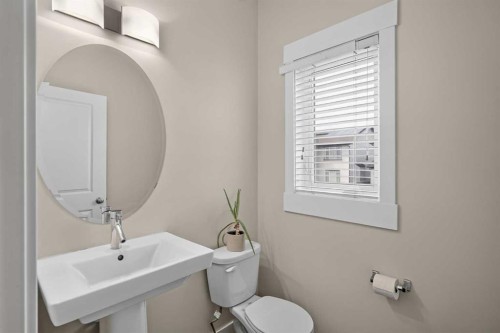 604 Skyview Point Place Ne, Calgary, AB - Indoor Photo Showing Bathroom