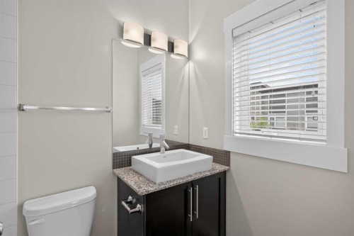 604 Skyview Point Place Ne, Calgary, AB - Indoor Photo Showing Bathroom
