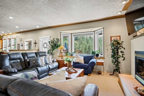 280166 Twp Rd 240, Chestermere, AB - Indoor Photo Showing Living Room With Fireplace