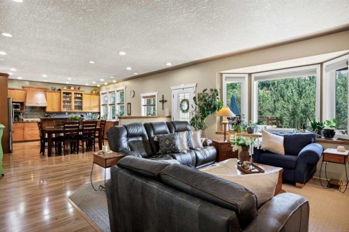 280166 Twp Rd 240, Chestermere, AB - Indoor Photo Showing Living Room