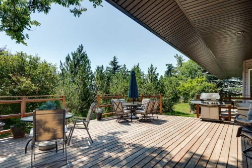 280166 Twp Rd 240, Chestermere, AB - Outdoor With Deck Patio Veranda