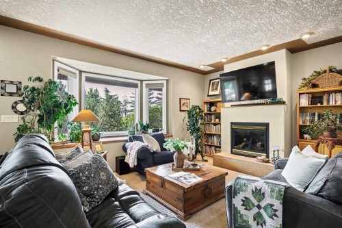 280166 Twp Rd 240, Chestermere, AB - Indoor Photo Showing Living Room With Fireplace