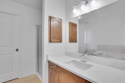 89 Everoak Drive Sw, Calgary, AB - Indoor Photo Showing Bathroom