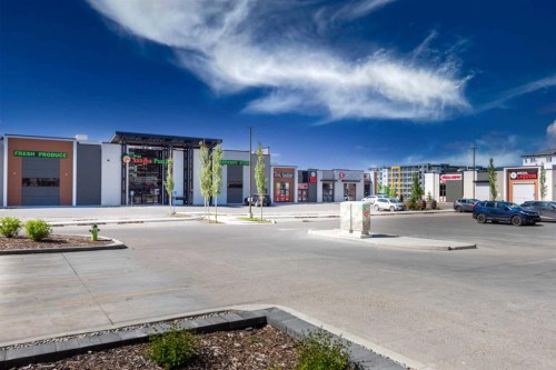 261 Redstone Street Ne, Calgary, AB - Outdoor