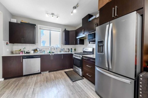 261 Redstone Street Ne, Calgary, AB - Indoor Photo Showing Kitchen With Double Sink