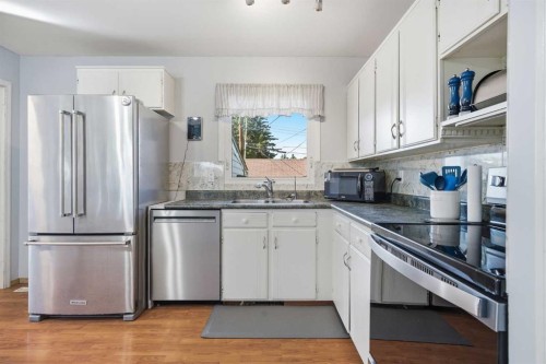 4 Arlington Bay Ne, Calgary, AB - Indoor Photo Showing Kitchen With Stainless Steel Kitchen With Double Sink