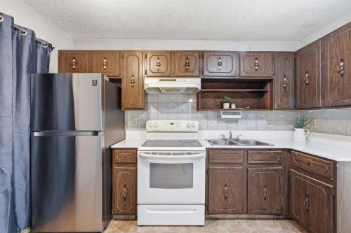 56 Pinecliff Close Ne, Calgary, AB - Indoor Photo Showing Kitchen With Double Sink