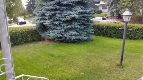5748 Dalmead Crescent Nw, Calgary, AB - Outdoor