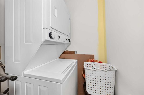 5102-755 Copperpond Boulevard Se, Calgary, AB - Indoor Photo Showing Laundry Room