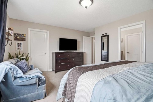 113 Sunset View, Cochrane, AB - Indoor Photo Showing Bedroom