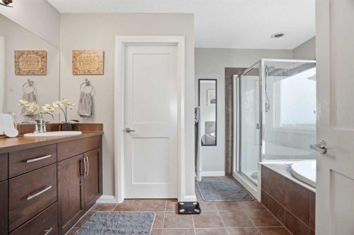 113 Sunset View, Cochrane, AB - Indoor Photo Showing Bathroom