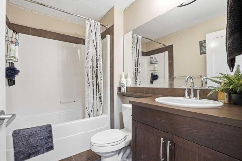 113 Sunset View, Cochrane, AB - Indoor Photo Showing Bathroom