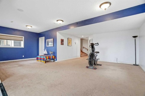 113 Sunset View, Cochrane, AB - Indoor Photo Showing Gym Room