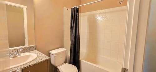 1609-4641 128 Avenue Ne, Calgary, AB - Indoor Photo Showing Bathroom