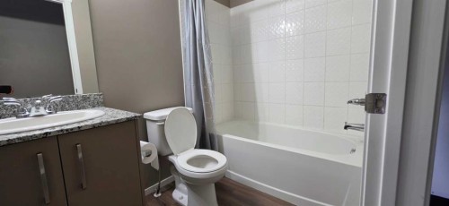 1609-4641 128 Avenue Ne, Calgary, AB - Indoor Photo Showing Bathroom