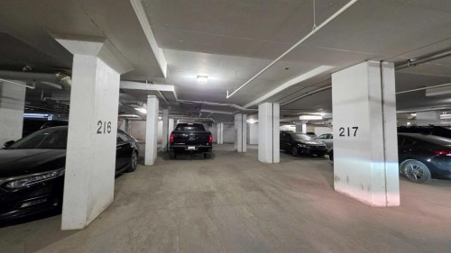 1609-4641 128 Avenue Ne, Calgary, AB - Indoor Photo Showing Garage